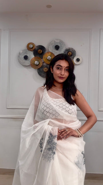 Devkali Grey Fern Saree