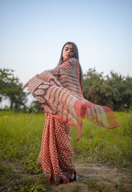Natural dyed Bagru saree - Roheda Kota Chevron handblock printed saree